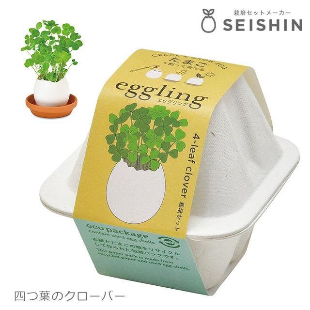 栽培キット 栽培セット 聖新陶芸 エッグリング エコ EG-60 : おしゃれ