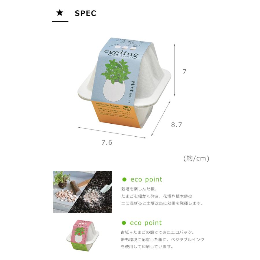 栽培キット 栽培セット 聖新陶芸 エッグリング エコ EG-60 : おしゃれ
