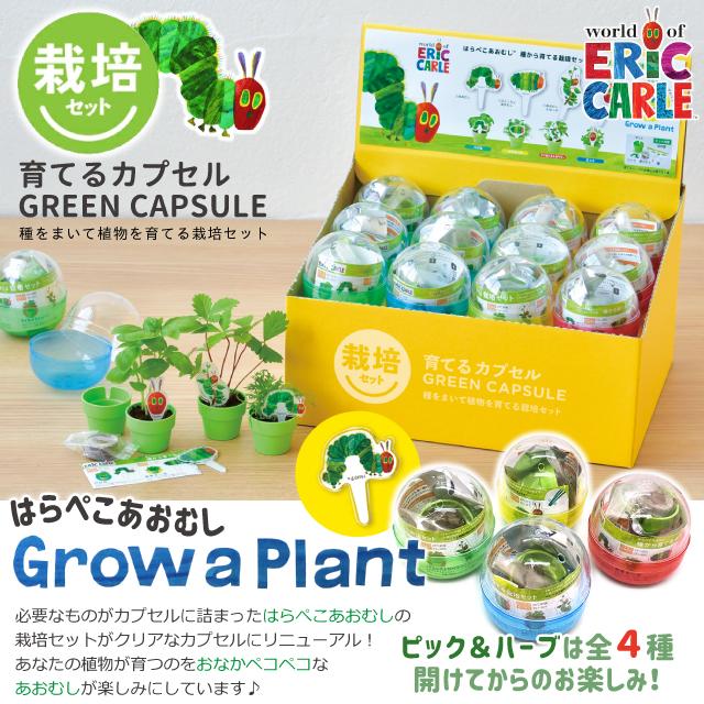 栽培キット 栽培セット 聖新陶芸 はらぺこあおむし 育てるカプセル