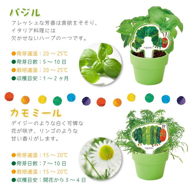 栽培キット 栽培セット 聖新陶芸 はらぺこあおむし 育てるカプセル