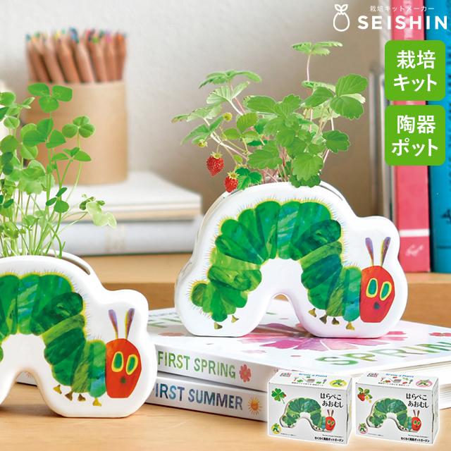 栽培セット 栽培キット 聖新陶芸 はらぺこあおむし わくわく陶器ポット