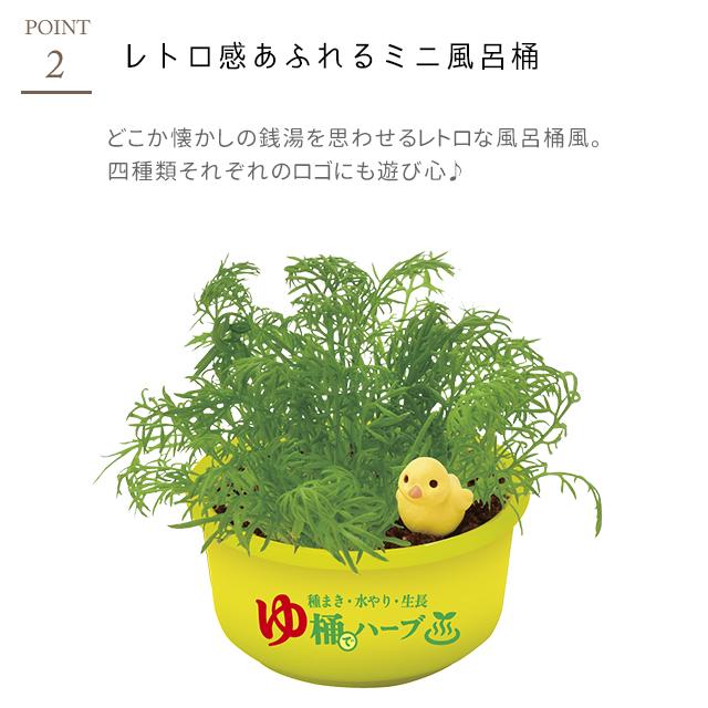 栽培キット 栽培セット 聖新陶芸 育てるカプセル ゆ桶でハーブ栽培 GD
