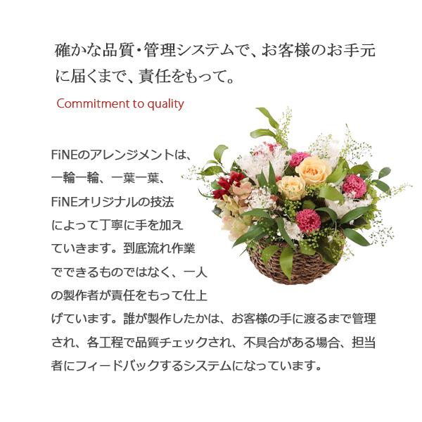 全4種【3個1セット】 プリザーブドフラワー 爆買 ギフト グリーンポット グリーン  誕生日 お祝い 結婚祝い 新築祝い 送別祝い 開店祝い 観葉植物 |  | 14