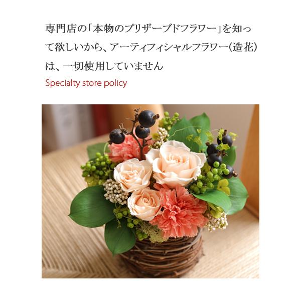 全4種【3個1セット】 プリザーブドフラワー 爆買 ギフト グリーンポット グリーン  誕生日 お祝い 結婚祝い 新築祝い 送別祝い 開店祝い 観葉植物 |  | 15