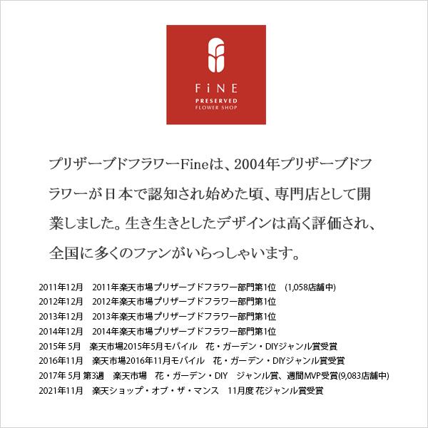 プリザーブドフラワー プレゼント ギフト 観葉植物 アーストーン 開店祝い 開業祝い 誕生日祝い 新築祝い 父 祖母 上司 退職祝い 送別祝い 40代 50代 |  | 14