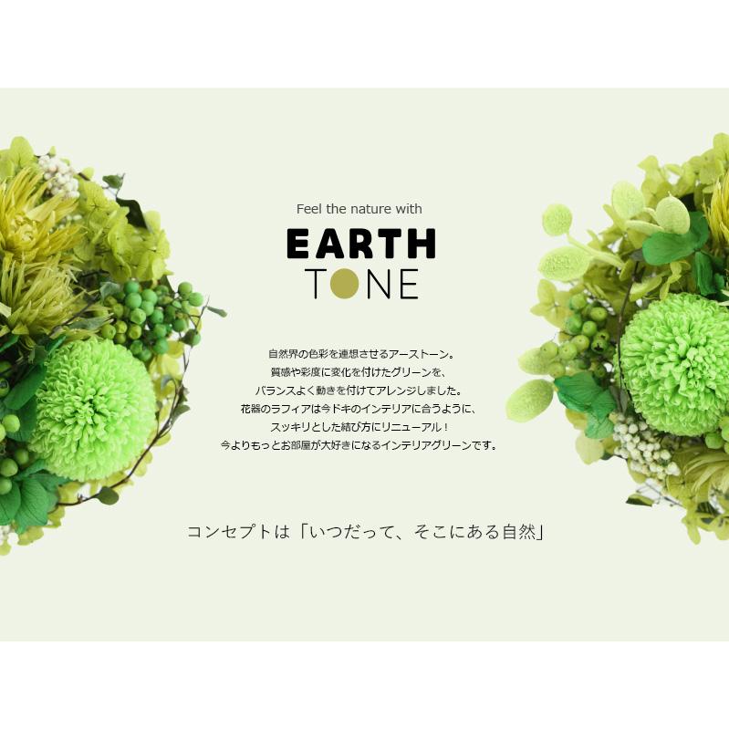 プリザーブドフラワー プレゼント ギフト 観葉植物 アーストーン 開店祝い 開業祝い 誕生日祝い 新築祝い 父 祖母 上司 退職祝い 送別祝い 40代 50代 |  | 02