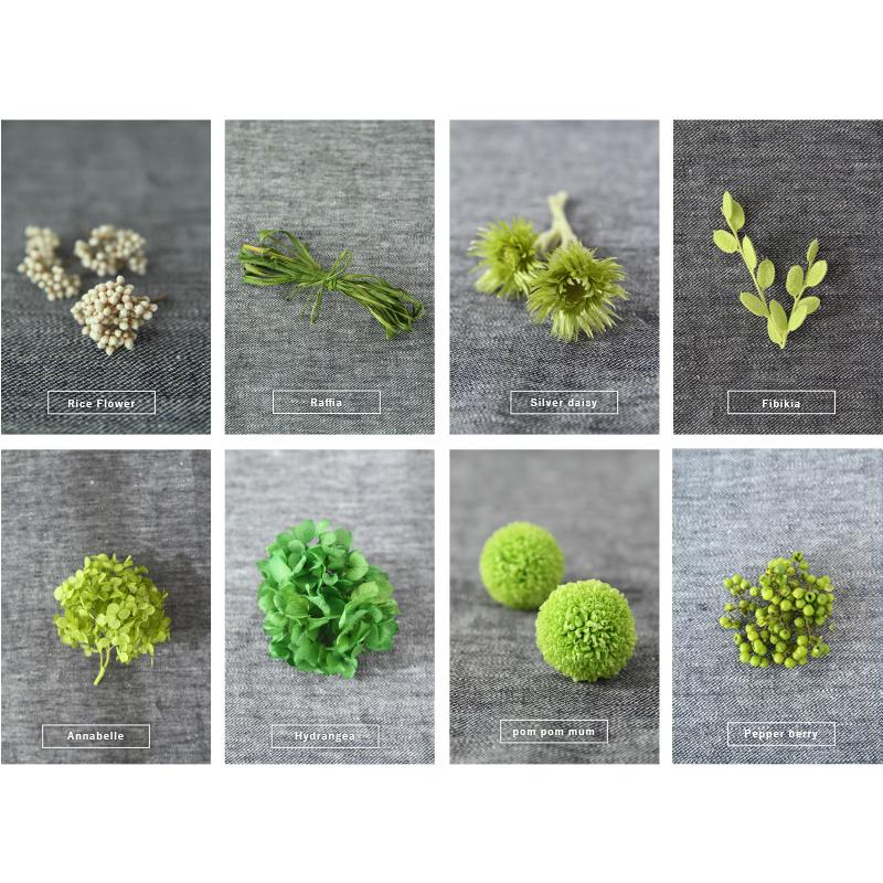 プリザーブドフラワー プレゼント ギフト 観葉植物 アーストーン 開店祝い 開業祝い 誕生日祝い 新築祝い 父 祖母 上司 退職祝い 送別祝い 40代 50代 |  | 06