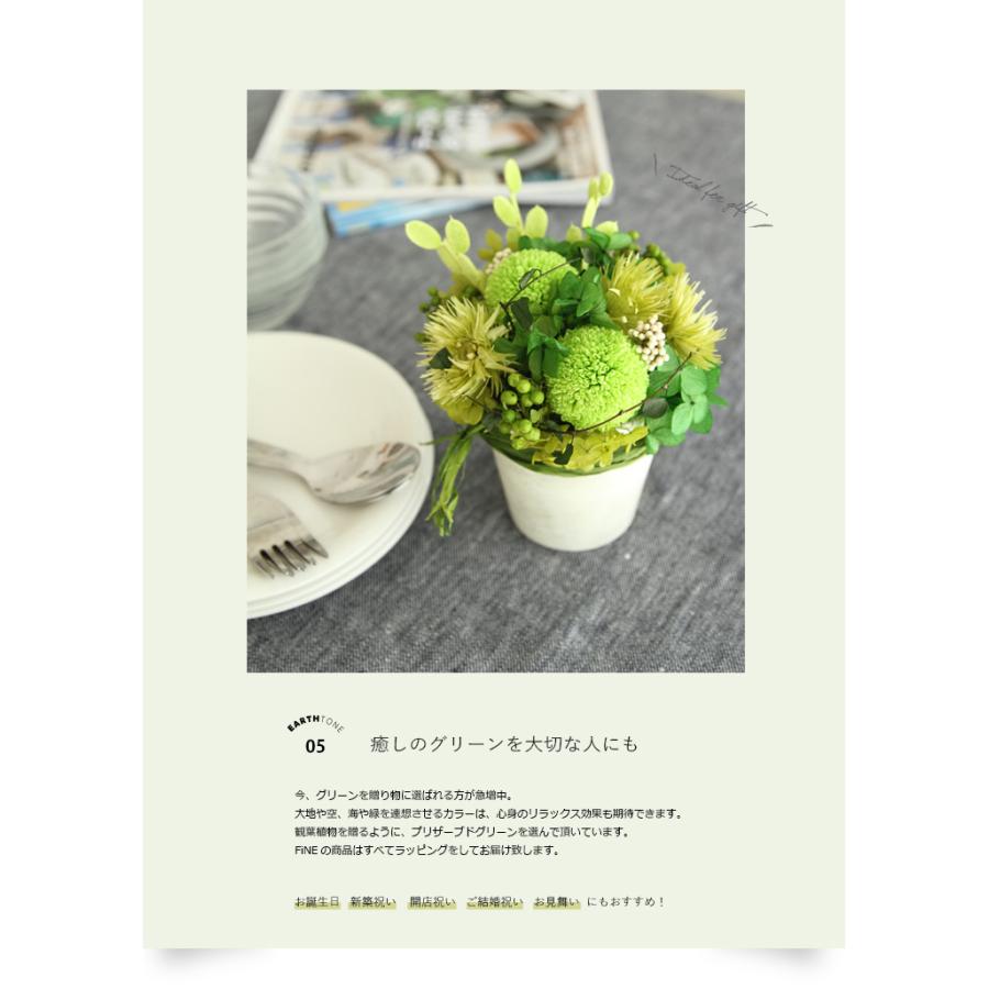 プリザーブドフラワー プレゼント ギフト 観葉植物 アーストーン 開店祝い 開業祝い 誕生日祝い 新築祝い 父 祖母 上司 退職祝い 送別祝い 40代 50代 |  | 07
