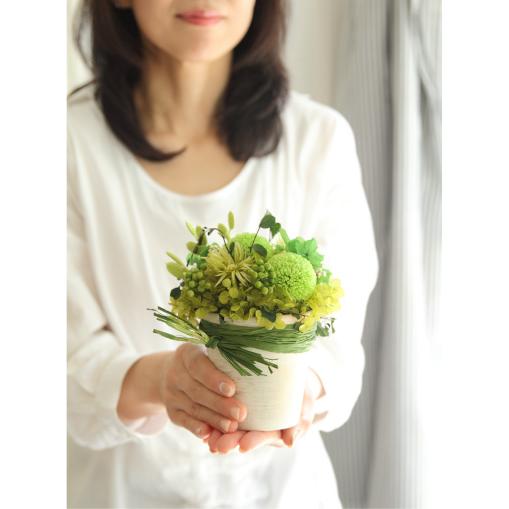 プリザーブドフラワー プレゼント ギフト 観葉植物 アーストーン 開店祝い 開業祝い 誕生日祝い 新築祝い 父 祖母 上司 退職祝い 送別祝い 40代 50代 |  | 08