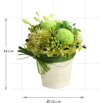 プリザーブドフラワー プレゼント ギフト 観葉植物 アーストーン 開店祝い 開業祝い 誕生日祝い 新築祝い 父 祖母 上司 退職祝い 送別祝い 40代 50代 |  | 09