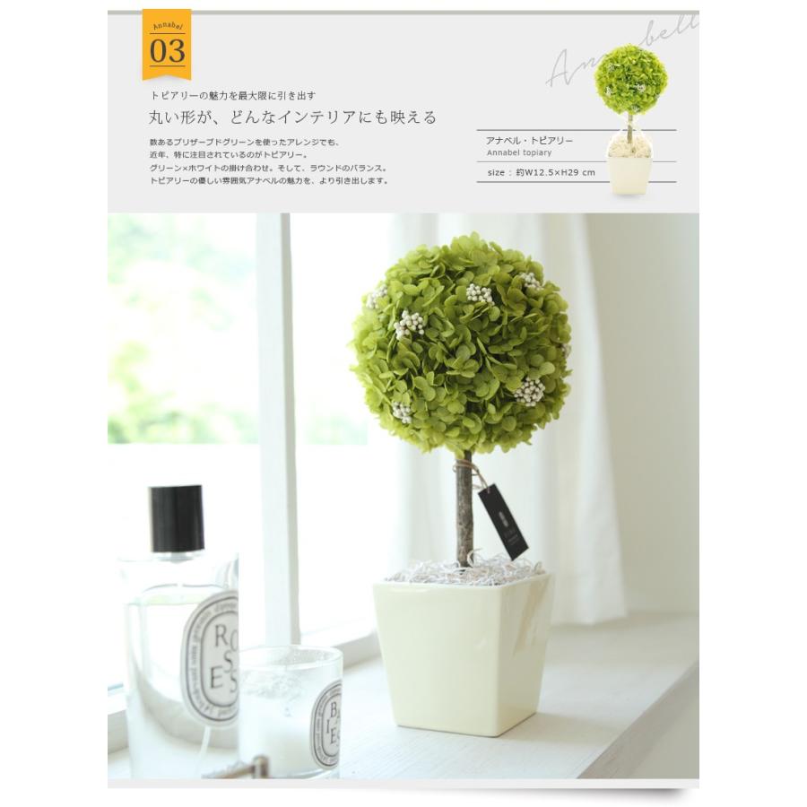 国内外の人気集結 プリザーブドフラワー ギフト プレゼント 花 観葉植物 アナベルトピアリー 誕生日 お祝い 結婚祝い 新築祝い 春ギフト 開店祝い 開業祝い 友達 Aynaelda Com