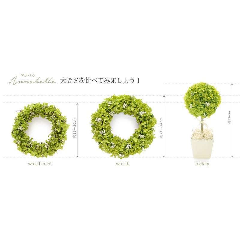 国内外の人気集結 プリザーブドフラワー ギフト プレゼント 花 観葉植物 アナベルトピアリー 誕生日 お祝い 結婚祝い 新築祝い 春ギフト 開店祝い 開業祝い 友達 Aynaelda Com