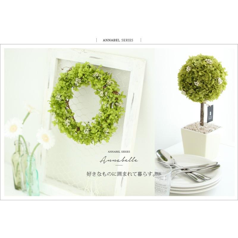 1914円 超お買い得 父の日 ギフト プレゼント 花 実用的 22 観葉植物 アナベル