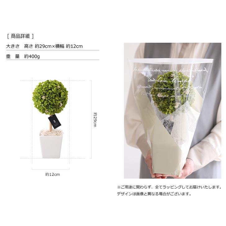 プリザーブドフラワー プレゼント ギフト 観葉植物 アナベルトピアリー 誕生日 新築祝い  開店祝い 開業祝い 友達 送別祝い 退職祝い インドアグリーン |  | 06