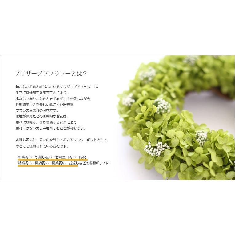 父の日 ギフト プレゼント 花 実用的 2022 アナベルリースギフト プレゼント あすつく 誕生日 お祝い 結婚祝い 新築祝い 春ギフト 開店祝い 開業祝い 送料無料 :ag188w:プリザーブドフラワーFine - 通販 - Yahoo!ショッピング 父の日 ギフト プレゼント 花 実用的 2022 アナベルリースギフト プレゼント あすつく 誕生日 お祝い 結婚祝い 新築祝い 春ギフト 開店祝い 開業祝い 送料無料 :ag188w:プリザーブドフラワーFine - 通販 - Yahoo!ショッピング
