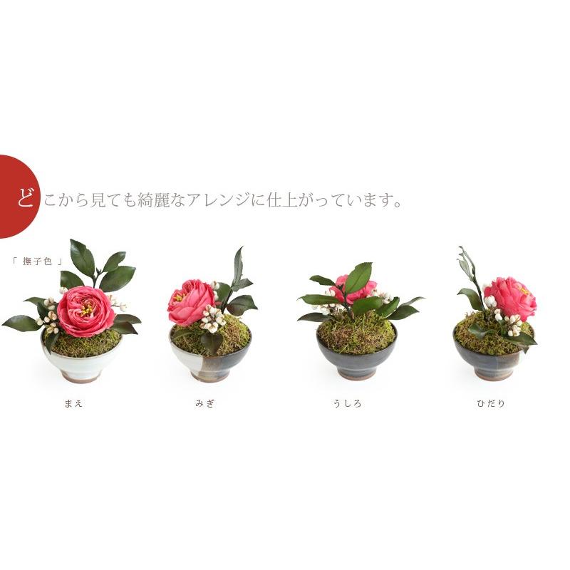 母の日 母の日ギフト プリザーブドフラワー プレゼント 花椿 はなつばき 15時までのご注文であすつく 送料無料 Ag228 プリザーブドフラワーfine 通販 Yahoo ショッピング