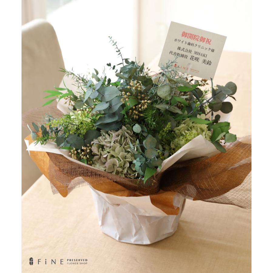 プリザーブドフラワー ギフト プレゼント 花 観葉植物 プリザーブドフラワー ギフト プレゼント 花 観葉植物