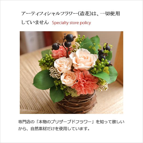 プリザーブドフラワー 母の日 プレゼント ギフト リース モリソニー 誕生日 お祝い 結婚祝い 新築祝い 開店祝い 開業祝い 退職祝い 送別祝い 壁飾り ミモザ |  | 10