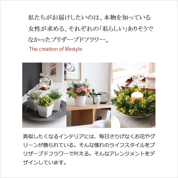 プリザーブドフラワー 母の日 プレゼント ギフト リース モリソニー 誕生日 お祝い 結婚祝い 新築祝い 開店祝い 開業祝い 退職祝い 送別祝い 壁飾り ミモザ |  | 11