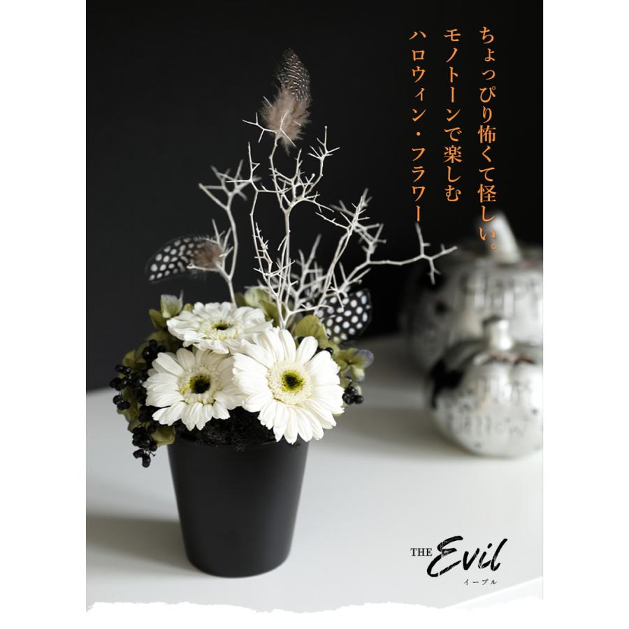 ハロウィン 限定 プリザーブドフラワーイーブル モノトーン 花 飾り