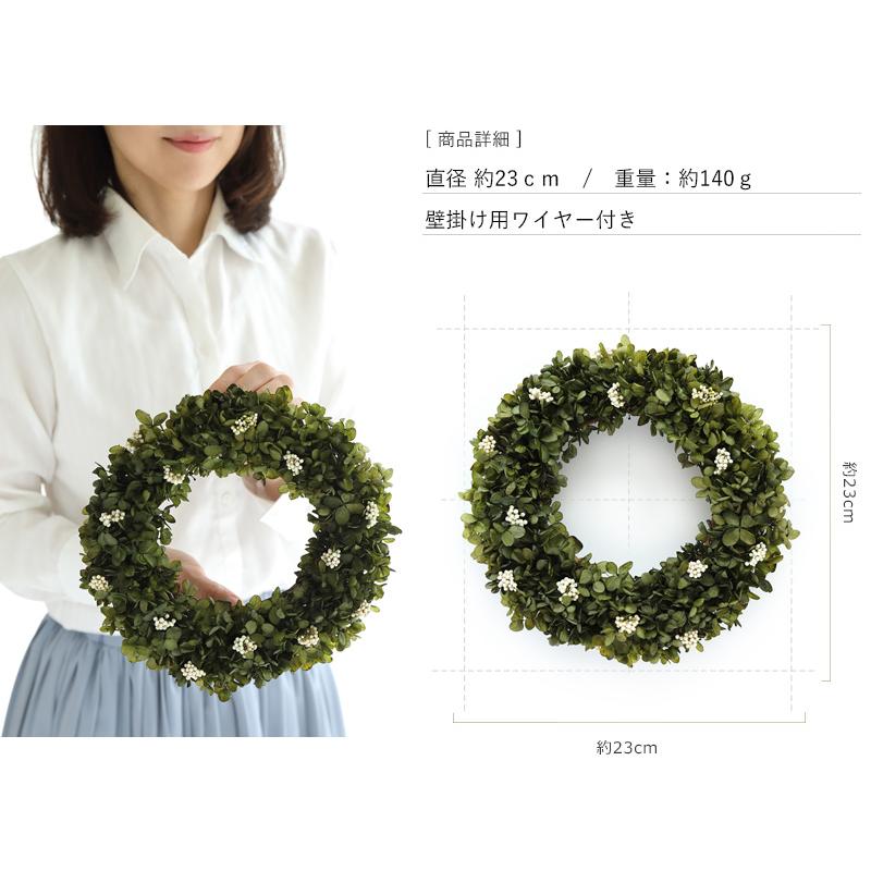 ガーベラ、ハイドレンジア、ビオラのグリーンのミニリース ガーベラ、ハイドレンジア、ビオラのグリーンのミニリース ガーベラ