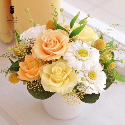 プリザーブドフラワー ギフト プレゼント 花 サラ 誕生日 お祝い 結婚祝い 新築祝い 開店祝い 開業祝い 男性 父 長寿祝い 母 義母 Ag328 プリザーブドフラワーfine 通販 Yahoo ショッピング