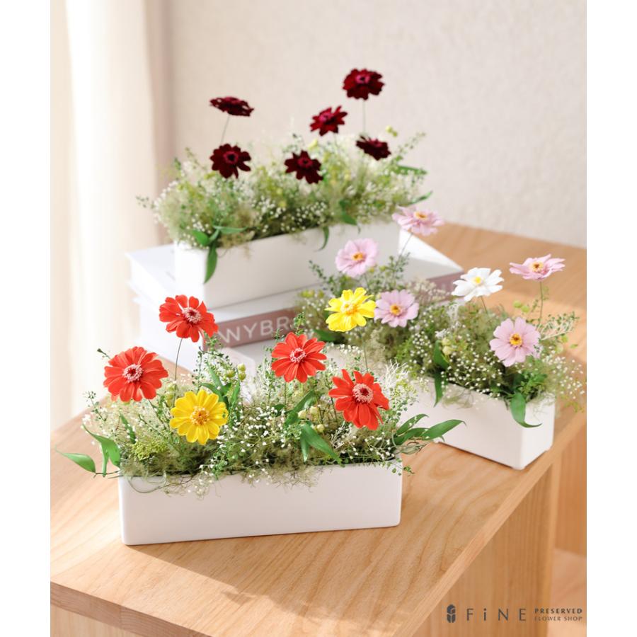 プリザーブドフラワー 季節の花 コスモア 記念日 コスモス ジニア インテリア ギフト プレゼント 誕生日 お祝い 結婚祝い 新築祝い 開店祝い 開業祝い 送料無料 Ag364 プリザーブドフラワーfine 通販 Yahoo ショッピング