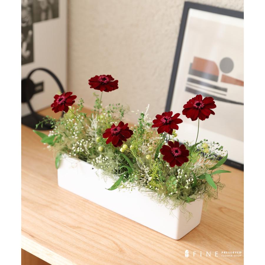 プリザーブドフラワー 母の日にも^ ^ プリザーブドフラワー 母の日 プレゼント ギフト 花 コスモア コスモス