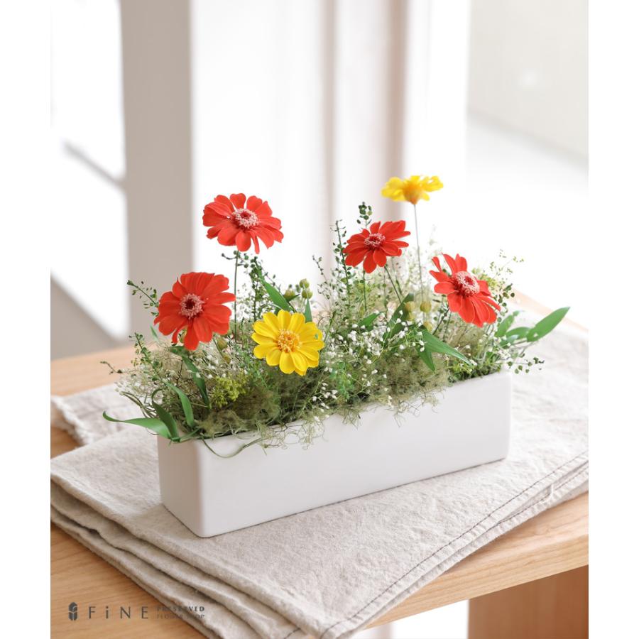 プリザーブドフラワー 季節の花 コスモア 記念日 コスモス ジニア インテリア ギフト プレゼント 誕生日 お祝い 結婚祝い 新築祝い 開店祝い 開業祝い 送料無料 Ag364 プリザーブドフラワーfine 通販 Yahoo ショッピング