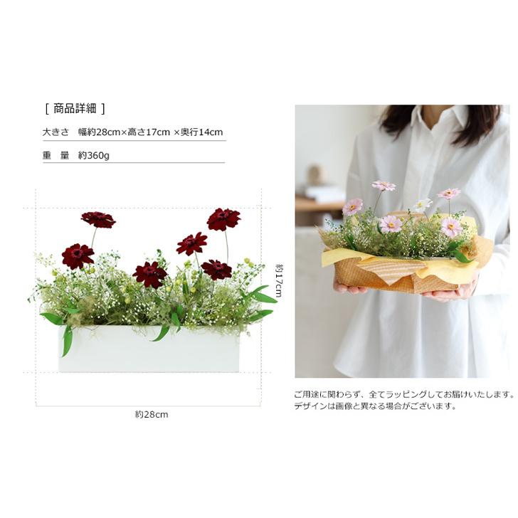 プリザーブドフラワー 季節の花 コスモア 記念日 コスモス ジニア インテリア ギフト プレゼント 誕生日 お祝い 結婚祝い 新築祝い 開店祝い 開業祝い 送料無料 Ag364 プリザーブドフラワーfine 通販 Yahoo ショッピング