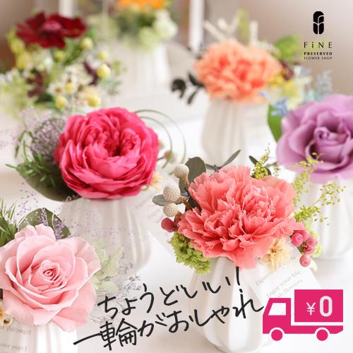 プリザーブドフラワー 母の日 プレゼント 30代 花 プリモ 誕生日 誕生日祝い お礼 出産祝い 送別祝い 退職祝い 結婚祝い 女性 友人 母 おしゃれ（Yahoo!・プリザーブドフラワーFine）