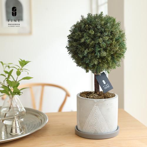 父の日 ギフト プレゼント 花 実用的 22 観葉植物 新築祝い 開店祝い 誕生日 トピアリー 超大特価 グリーンボール プリザーブドグリーン 開業 祝い