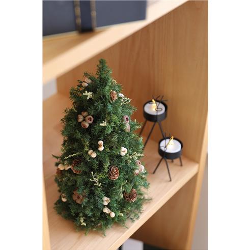 クリスマスツリー フォレストツリー クリスマス ツリー ギフト