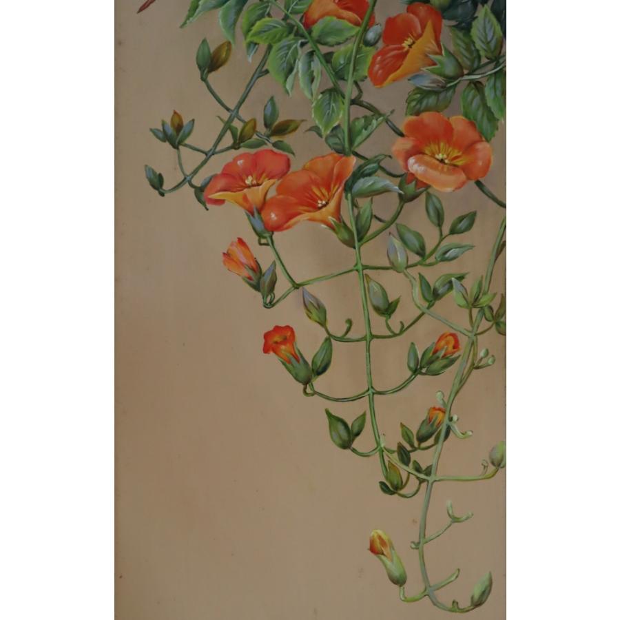 トールペイント 畑田美恵子のデザインパケット ノーゼンカズラ dp-002