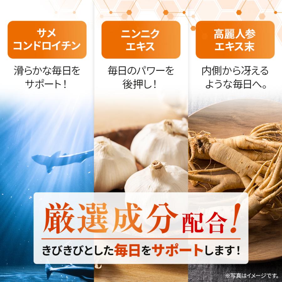 FINE JAPAN にんにくエキス粒 44日分(660粒入) 1日5~15粒 高麗人参