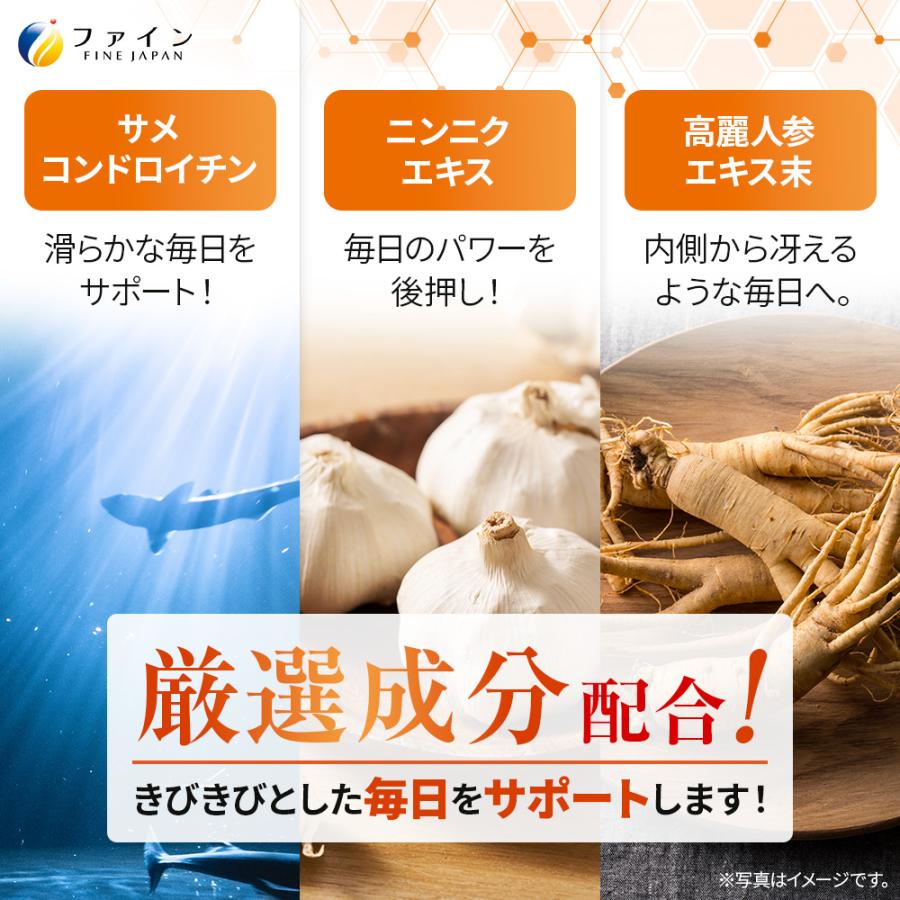 FINE JAPAN にんにくエキス粒 44日分(660粒入) 高麗人参エキス