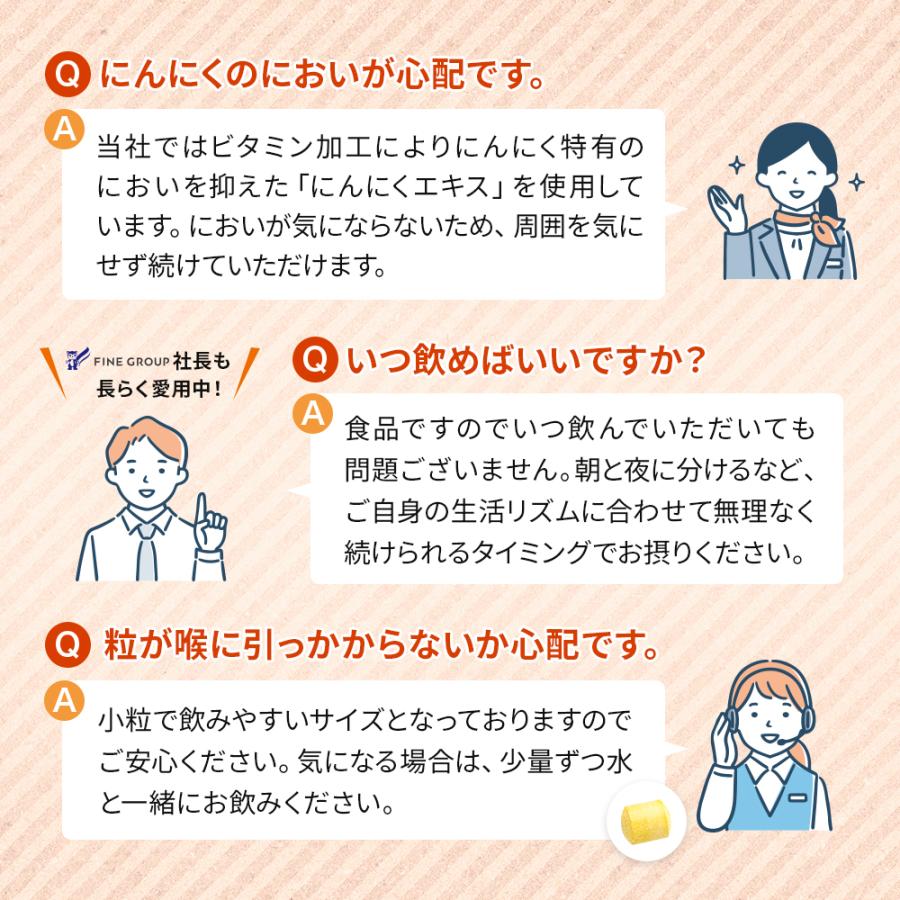 FINE JAPAN にんにくエキス粒 44日分(660粒入) 1日5~15粒 高麗人参