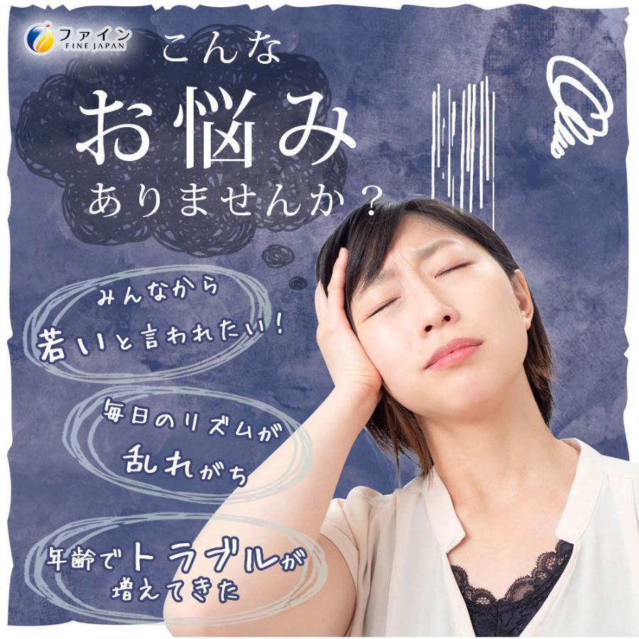 レスベラトロール 30日分(180粒入) 3個セット EPA DHA コエンザイムQ10 ビタミンB1 B2 B6 配合 栄養機能食品 ファイン 爆買の画像