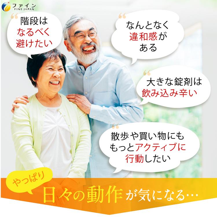 [29％OFFで販売中] コンドロイチン&グルコサミン ふしぶしの恵 お徳用 100日分(1500粒入) 2個セット II型コラーゲン 長命草 ケルセチンファイン 爆買の画像