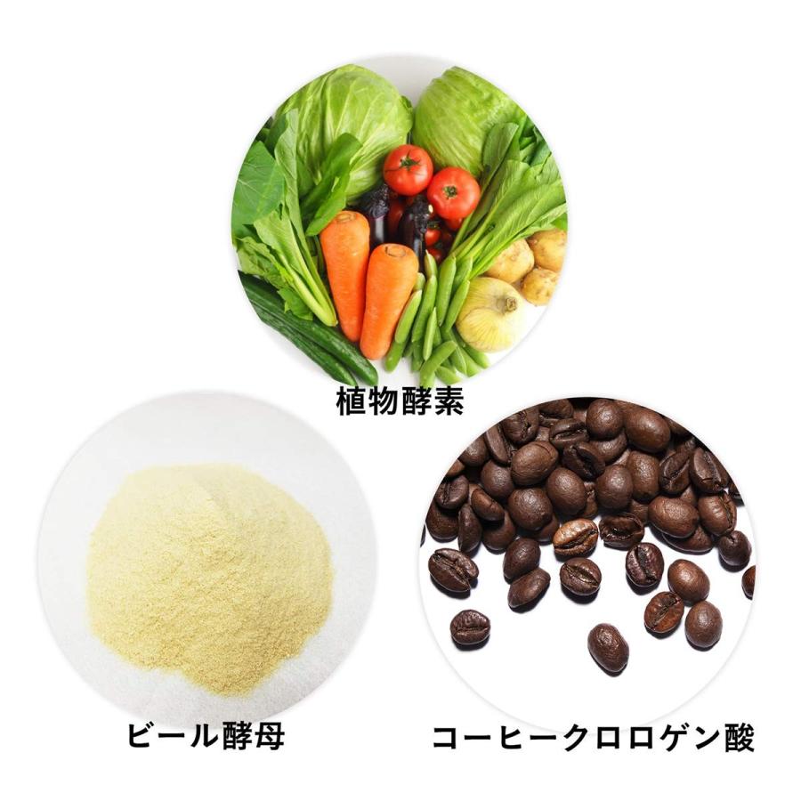 FINE JAPAN 酵母×酵素219×コーヒー クロロゲン酸 粒タイプ 30日分(1日5