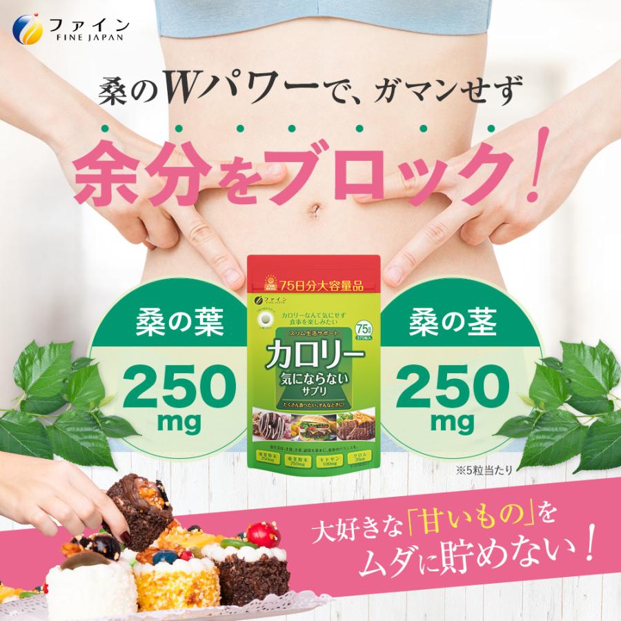 FINE JAPAN ダイエット サプリ カロリー気にならない 大容量品 375粒