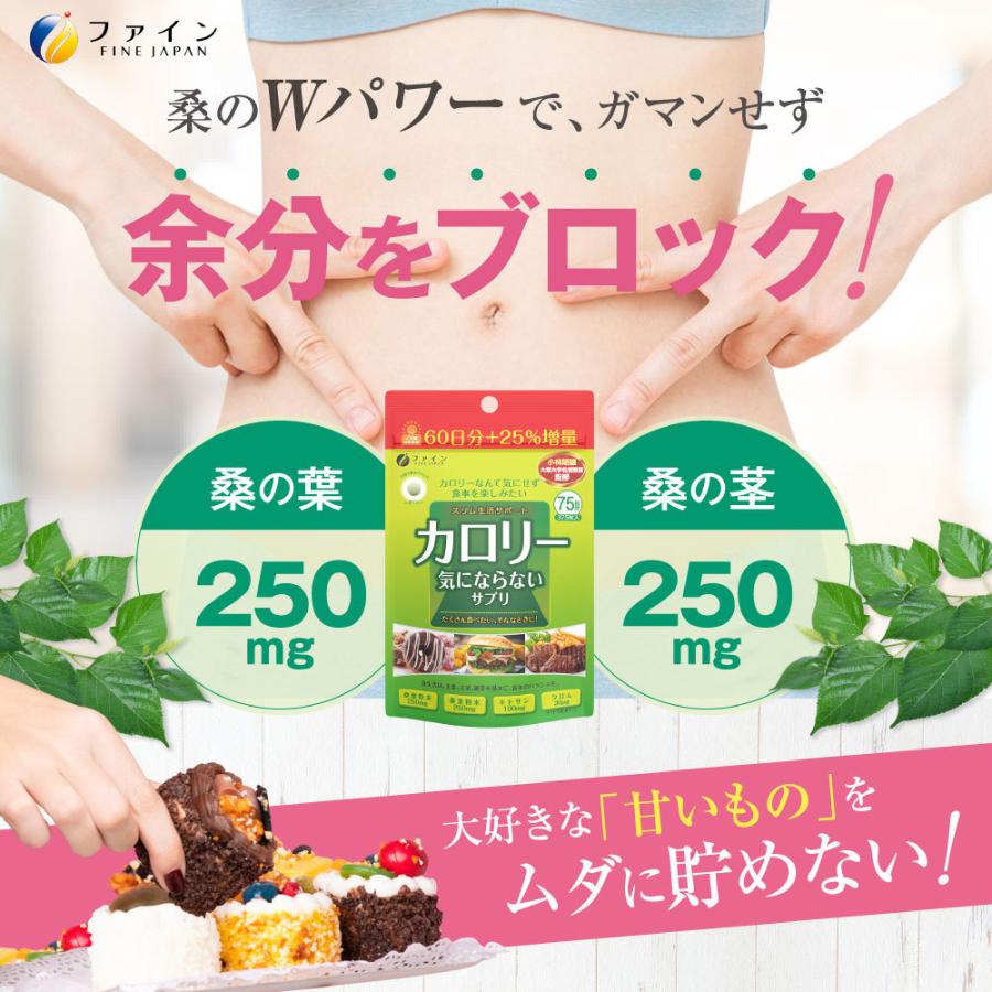 FINE JAPAN ダイエット サプリ カロリー気にならない 大容量品 375粒