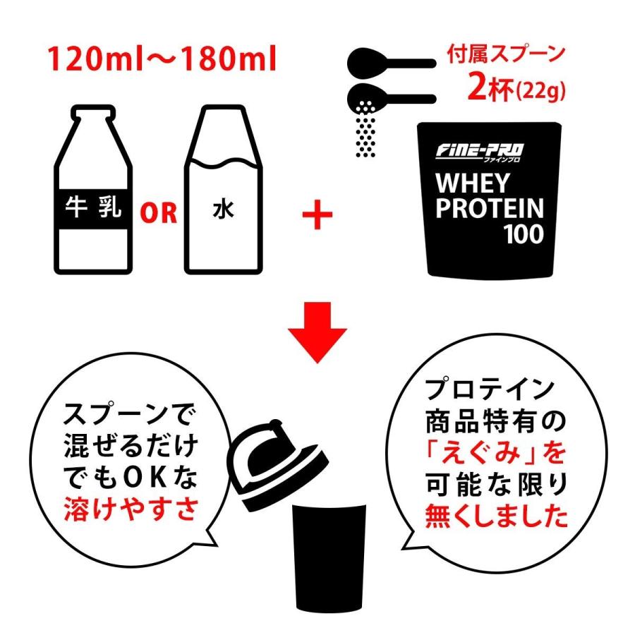 ホエイプロテイン 100 チョコ味 1.1kg入り 2個セット プロテイン ビタミンA B1 B2 B6 B12 ナイアシン パントテン酸 葉酸 配合 ファイン｜fine-kagaku｜07