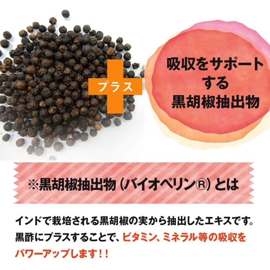 FINE JAPAN 国産 黒酢カプセル プラス 30日分(60粒入り) 黒酢エキス 黒