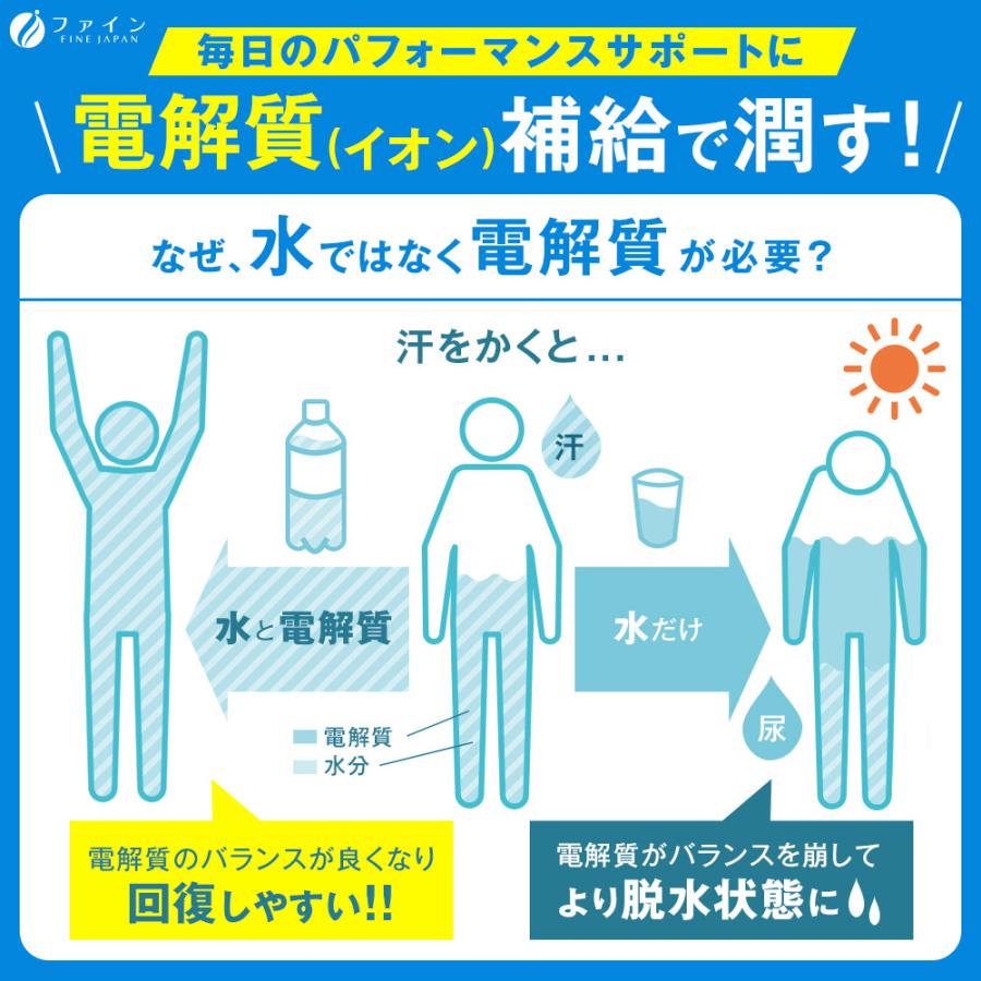 35%OFF イオンドリンク スポーツドリンク味 22包 30箱(660包入) 粉末 スポドリ 安い 500ml イオン ウォーター 砂糖ゼロ 脂質ゼロ クエン酸 水分補給 ファイン｜fine-kagaku｜05