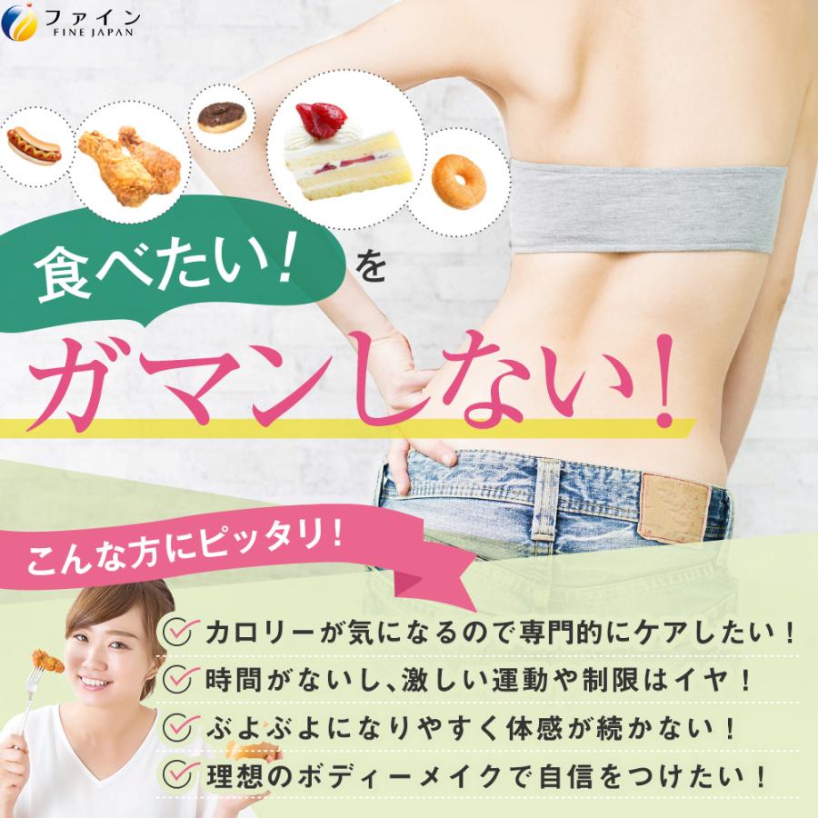 FINE JAPAN カロリー気にならないサプリ 脂質専用 30日分(90粒