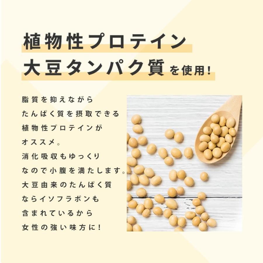 FINE JAPAN プロテイン ソイプロテイン ファインプロテインダイエット