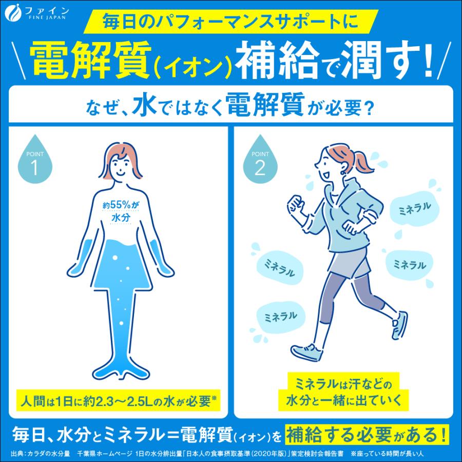 FINE JAPAN 公式限定仕様 イオンドリンク 33本入 砂糖不使用 低