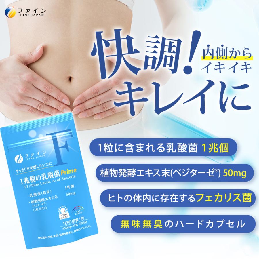 1兆個の乳酸菌 Prime 30日分 30粒 3個セット オンライン限定 乳酸菌 サプリ サプリメント マルトデキストリン デキストリン フェリカス菌 ベジカプセル FINE｜fine-kagaku｜02