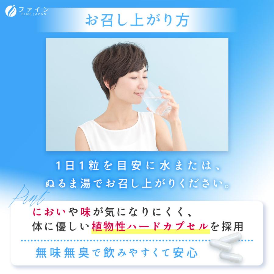 FINE JAPAN 乳酸菌 サプリ 乳酸菌 Prime 30日分 30粒 1粒に1兆個